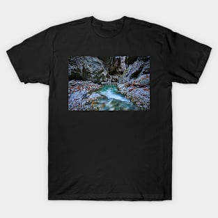 River in a canyon T-Shirt